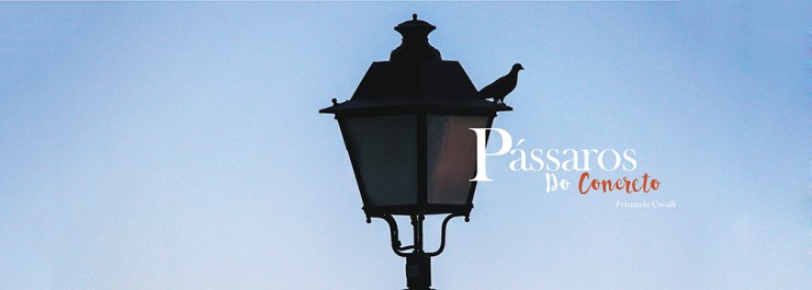 capapassarosdoconcreto